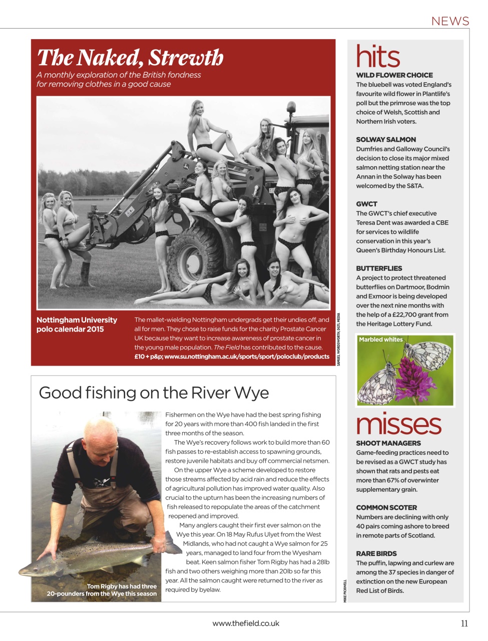 The Field Preview Pages