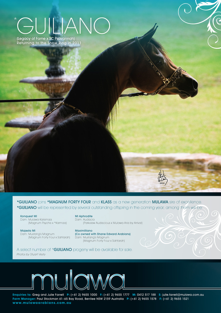 Australian Arabian Horse News Preview Pages