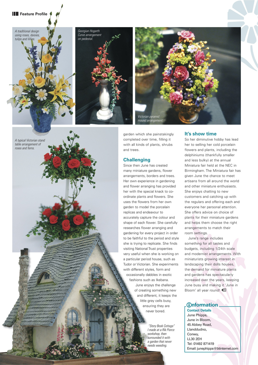 Dolls House and Miniature Scene Preview Pages