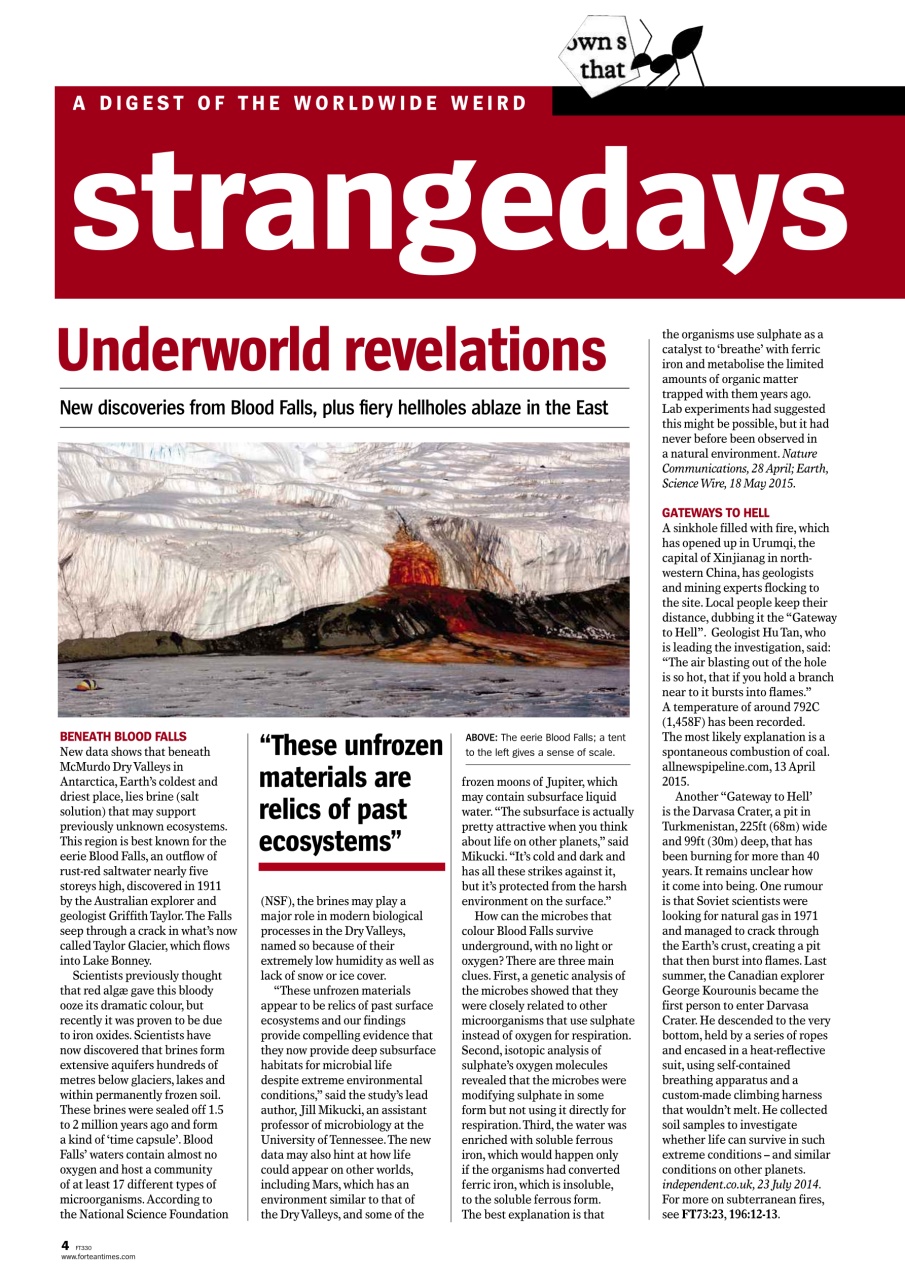 Fortean Times Preview Pages