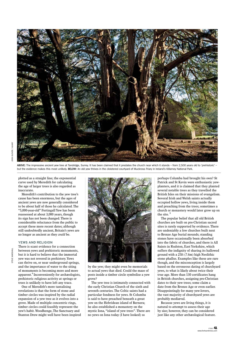 Fortean Times Preview Pages