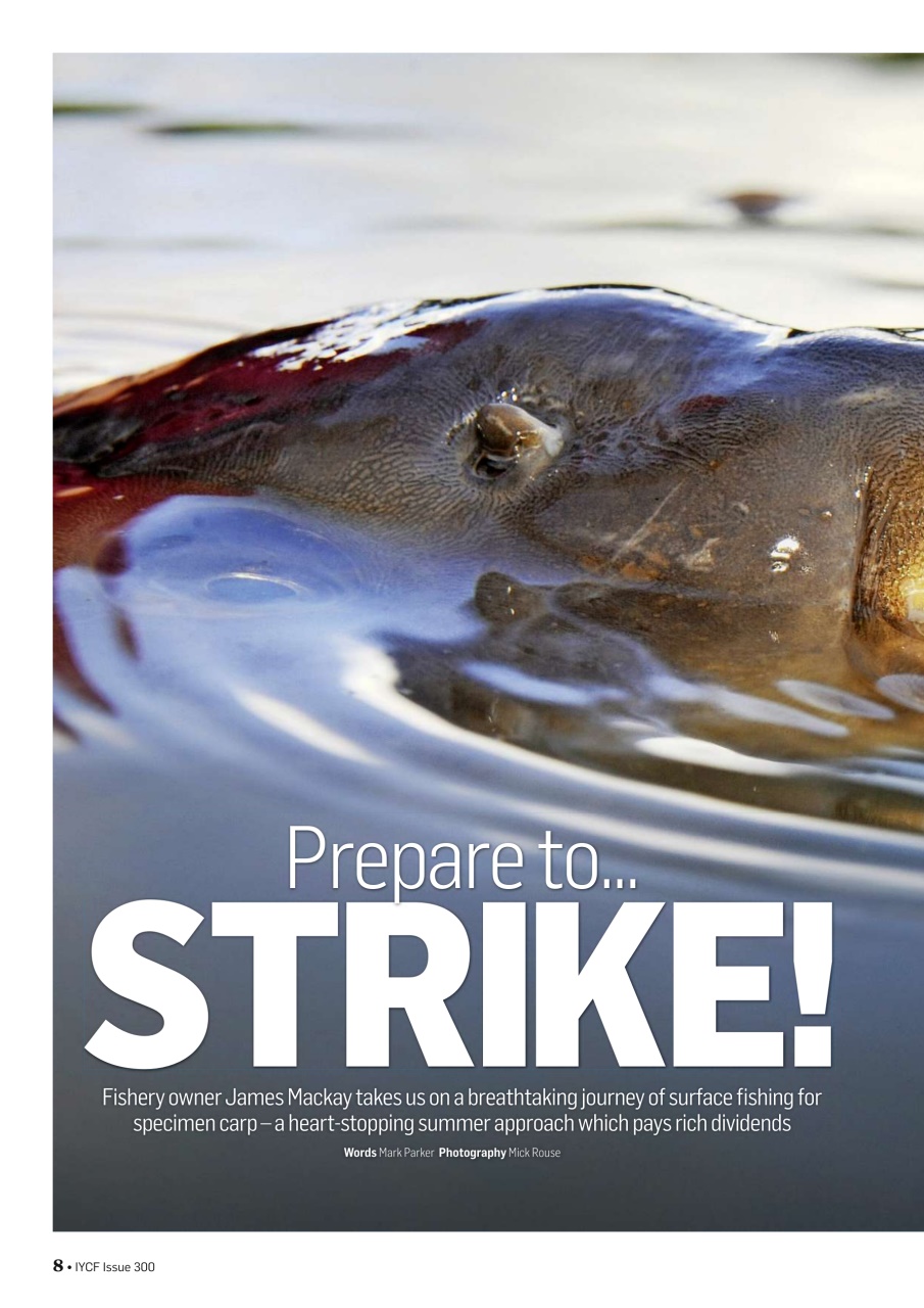 Improve Your Coarse Fishing Preview Pages