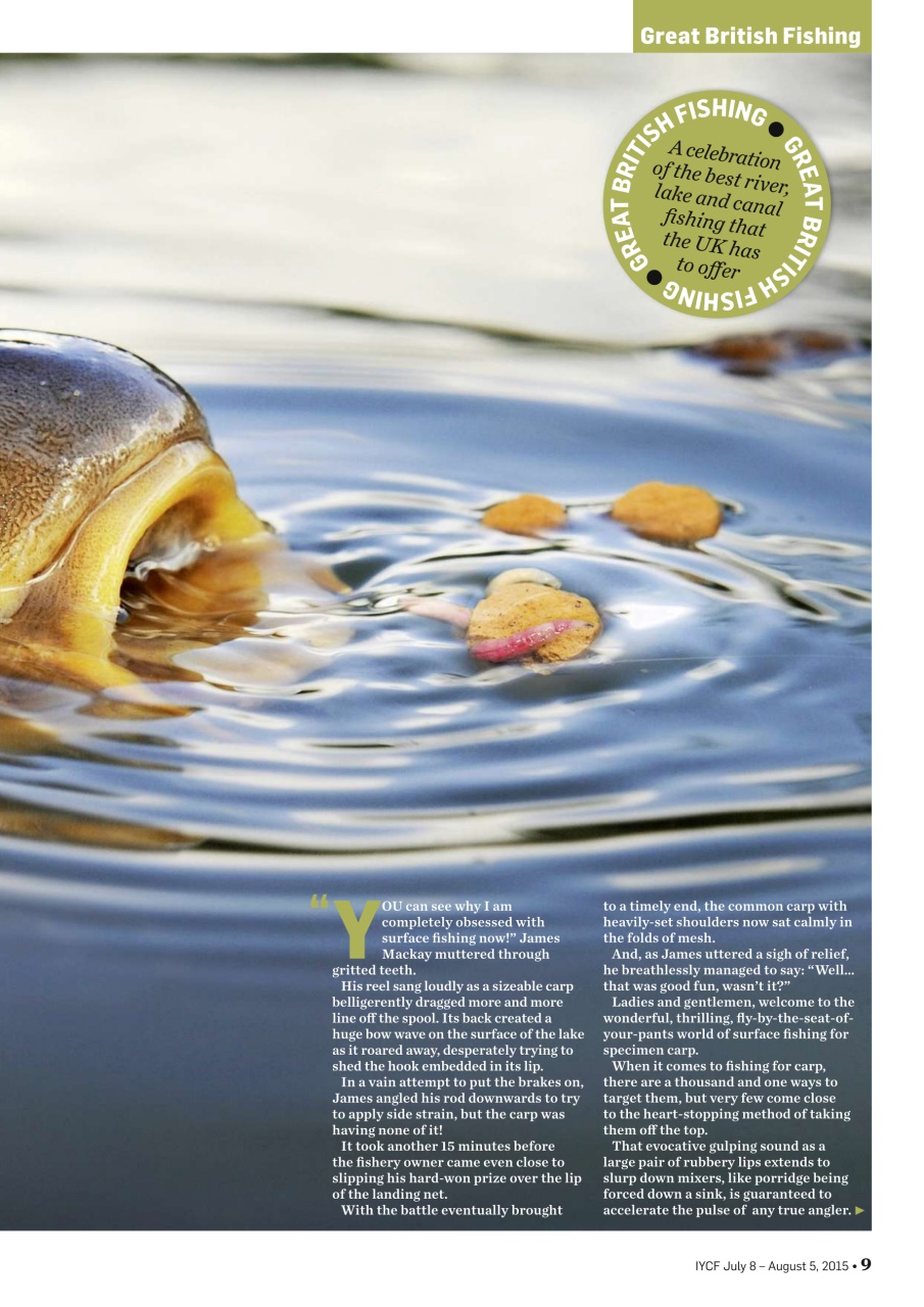 Improve Your Coarse Fishing Preview Pages