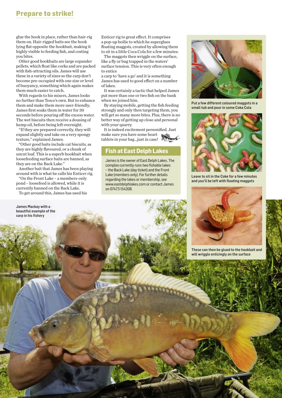 Improve Your Coarse Fishing Preview Pages
