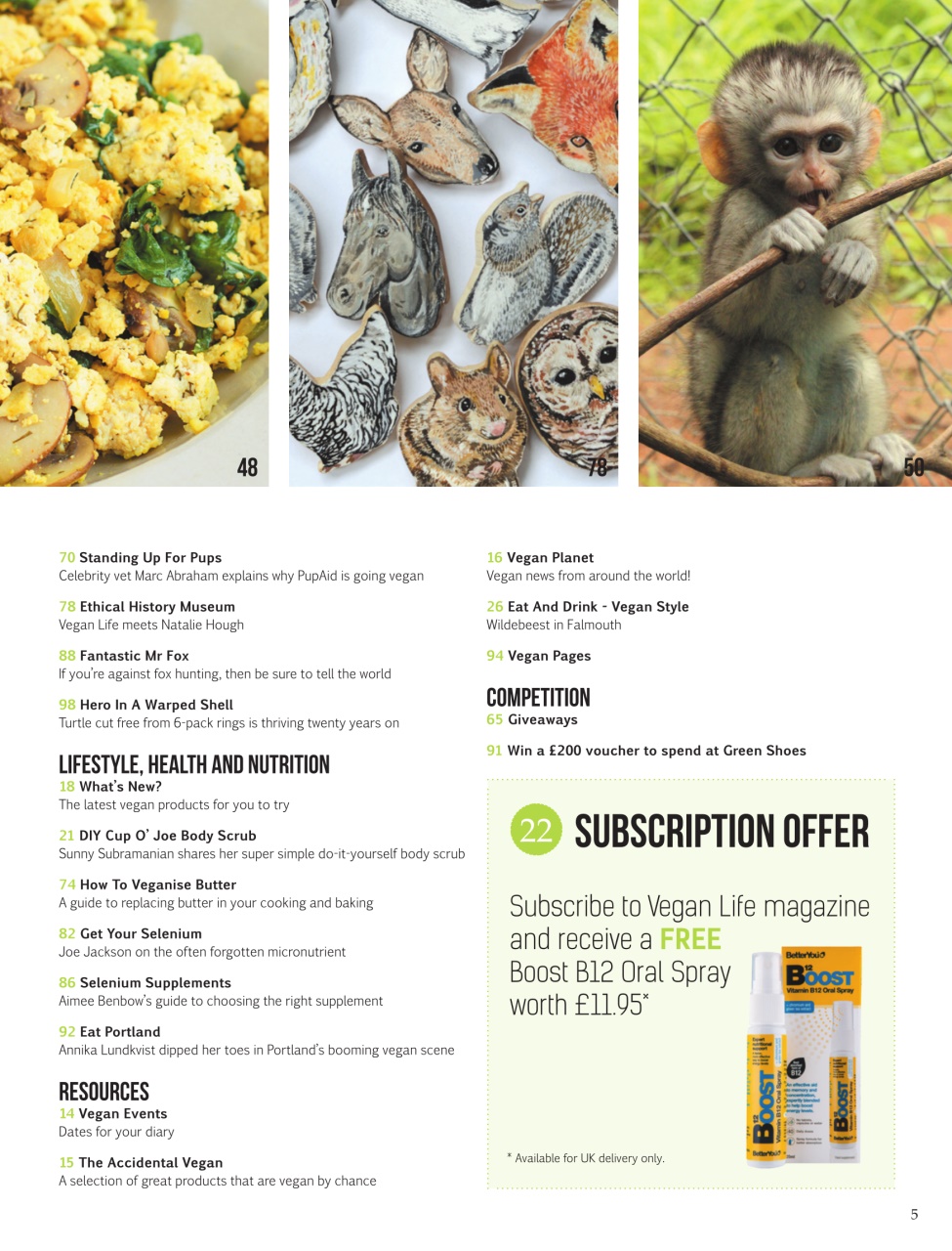 Vegan Life Preview Pages
