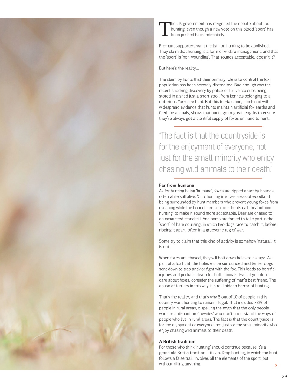 Vegan Life Preview Pages
