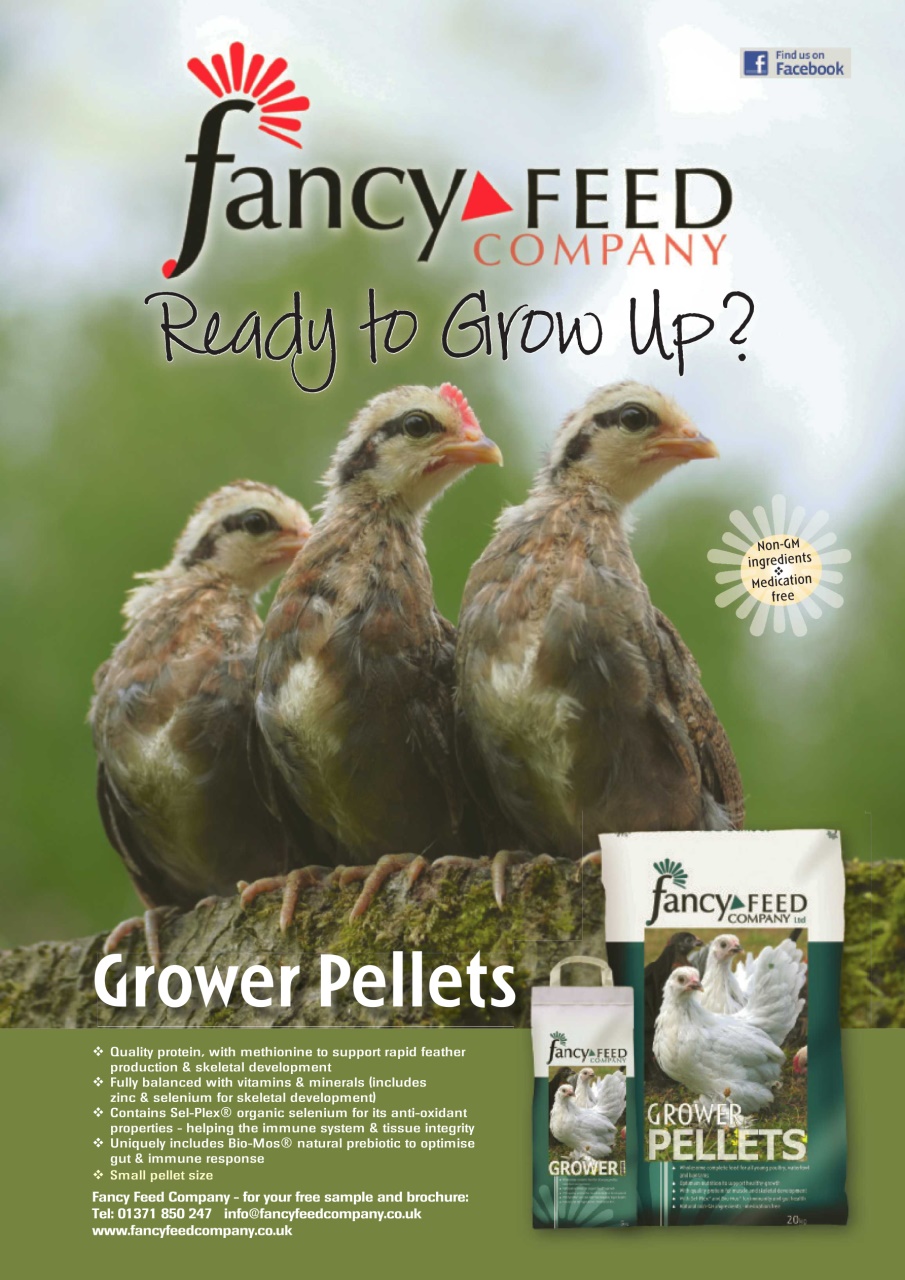 Practical Poultry Preview Pages