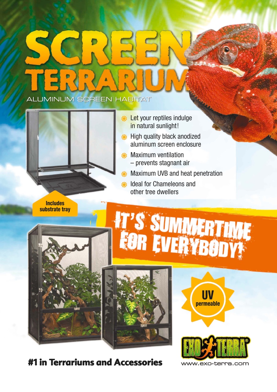 Practical Reptile Keeping Preview Pages