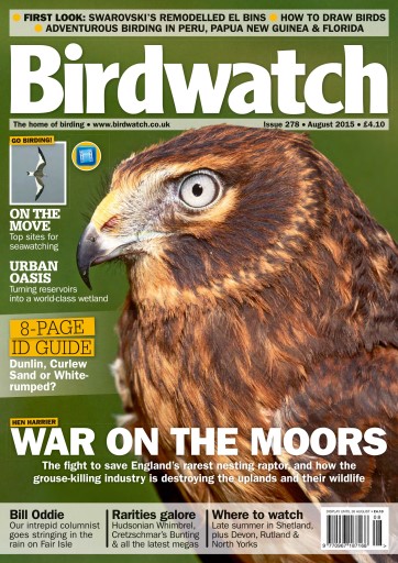 Birdwatch Magazine issue 