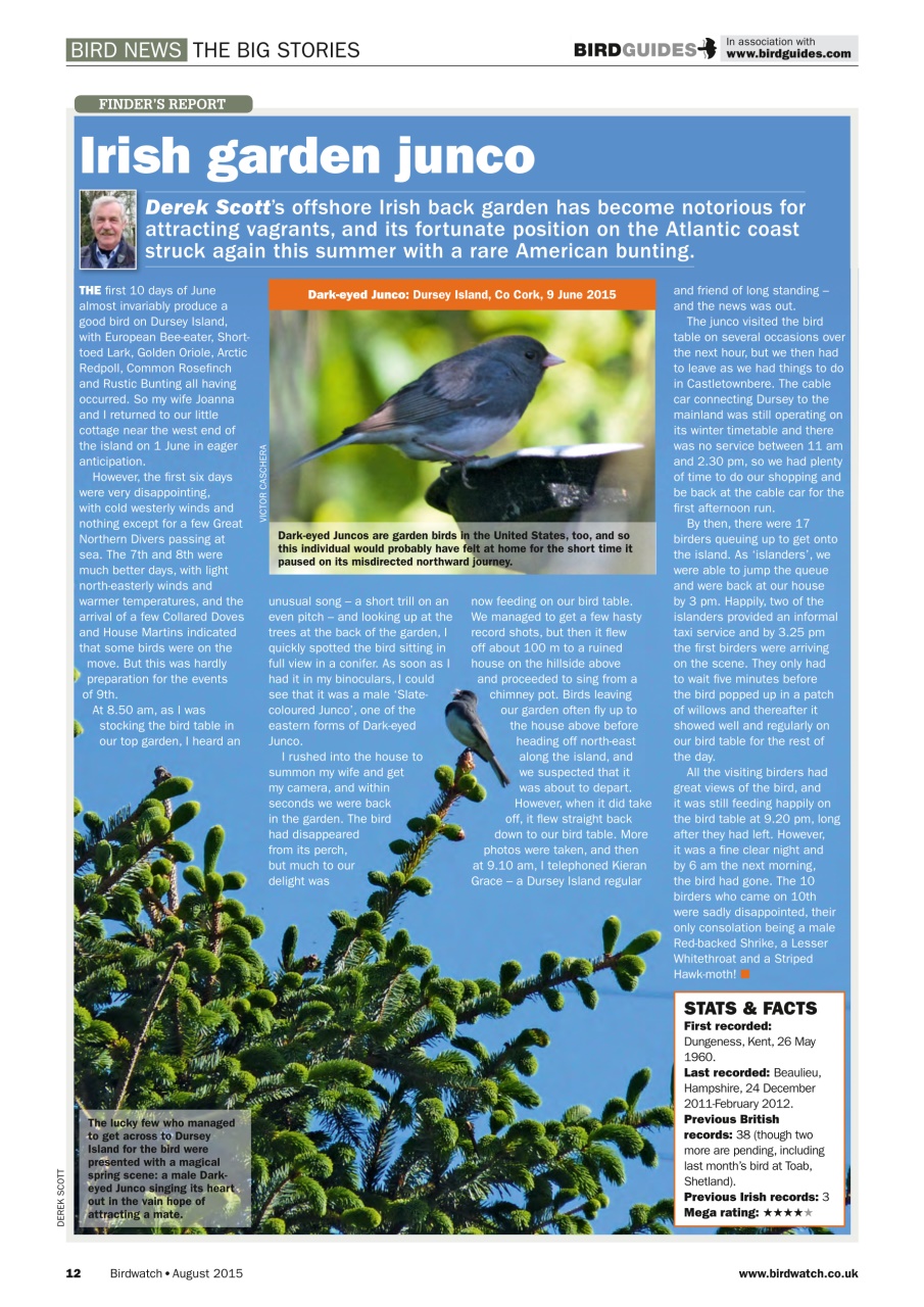 Birdwatch Magazine Preview Pages