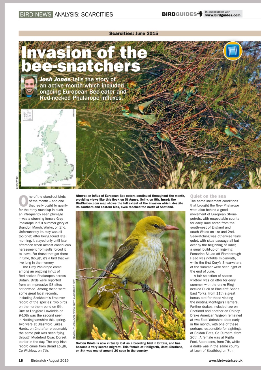 Birdwatch Magazine Preview Pages