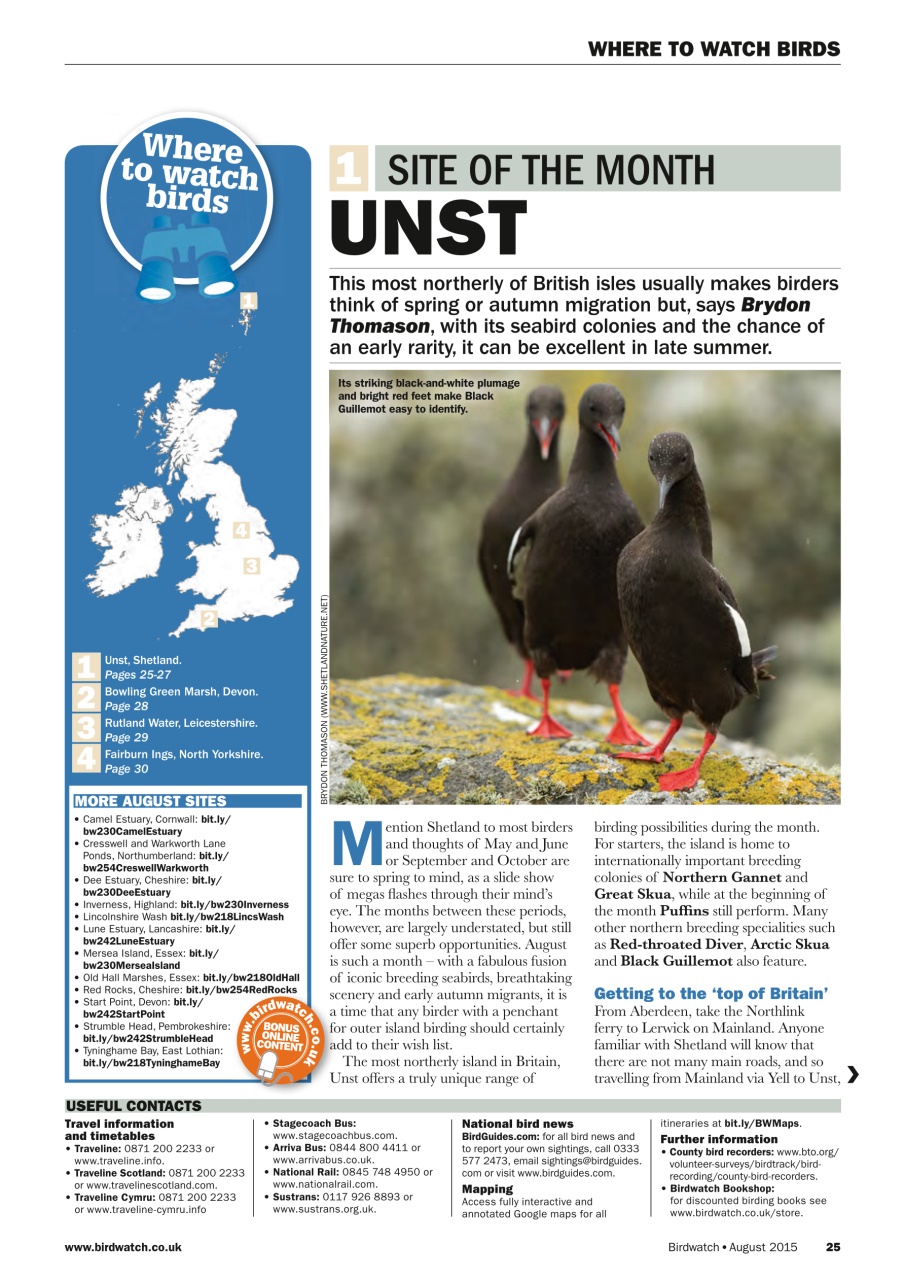 Birdwatch Magazine Preview Pages
