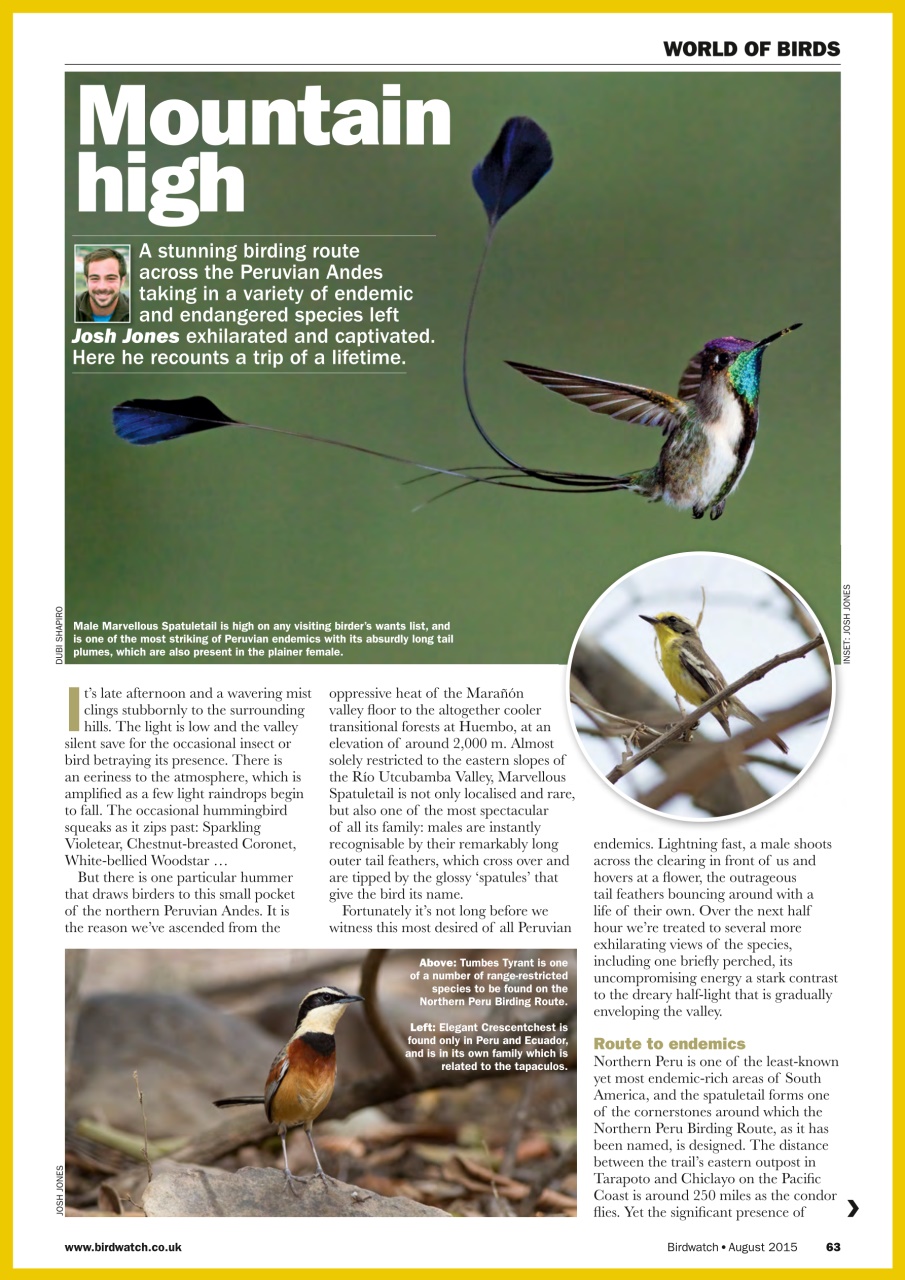 Birdwatch Magazine Preview Pages