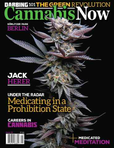 Cannabis Now issue Issue 16