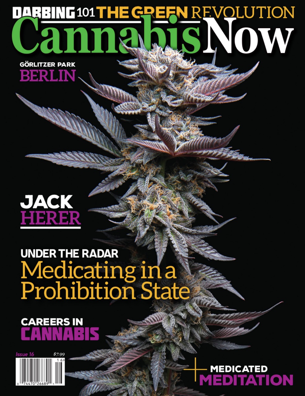 Cannabis Now Preview Pages