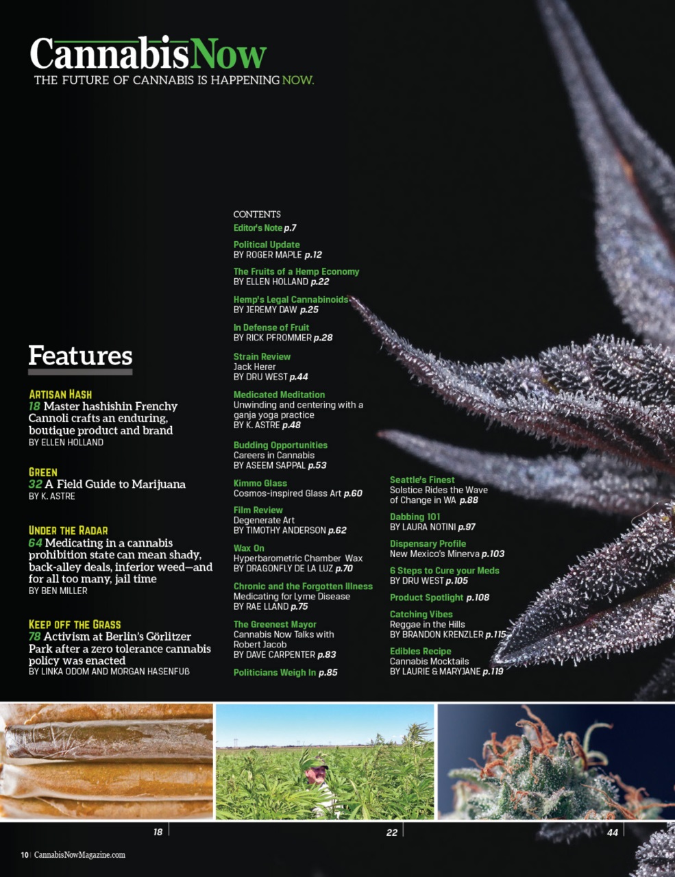 Cannabis Now Preview Pages