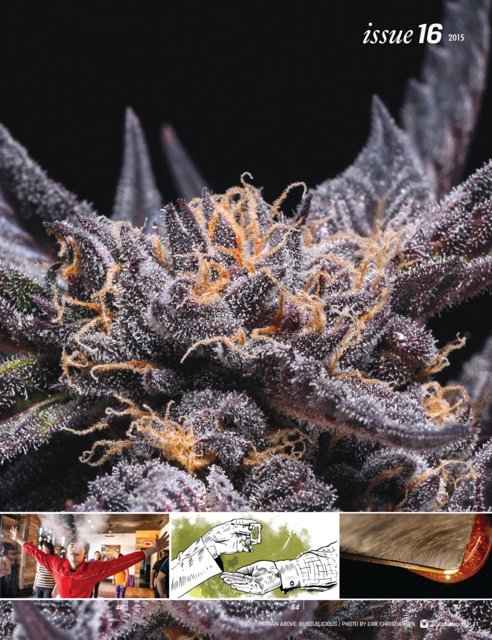 Cannabis Now Preview Pages