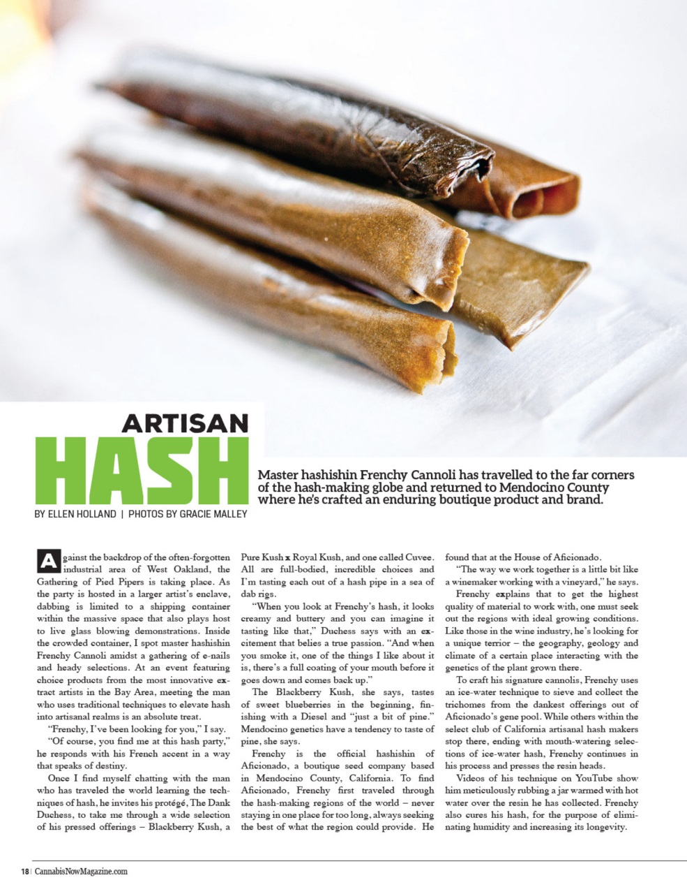 Cannabis Now Preview Pages