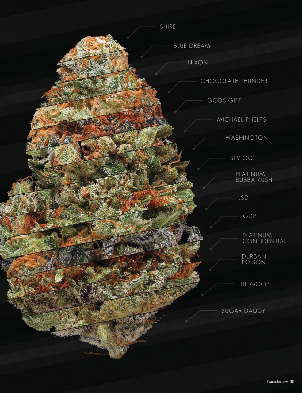 Cannabis Now Preview Pages