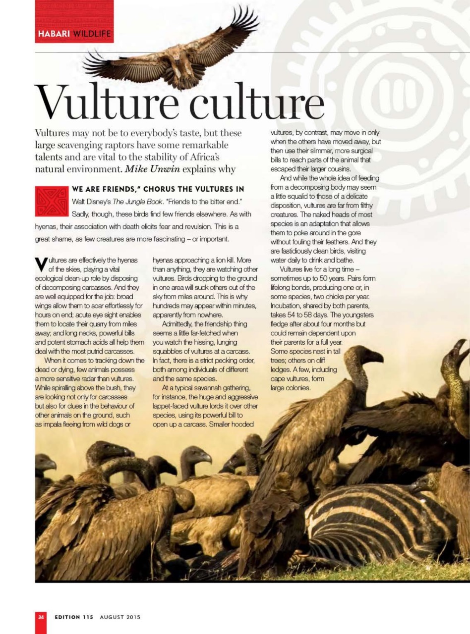 MSAFIRI – Kenya Airways Inflight Preview Pages