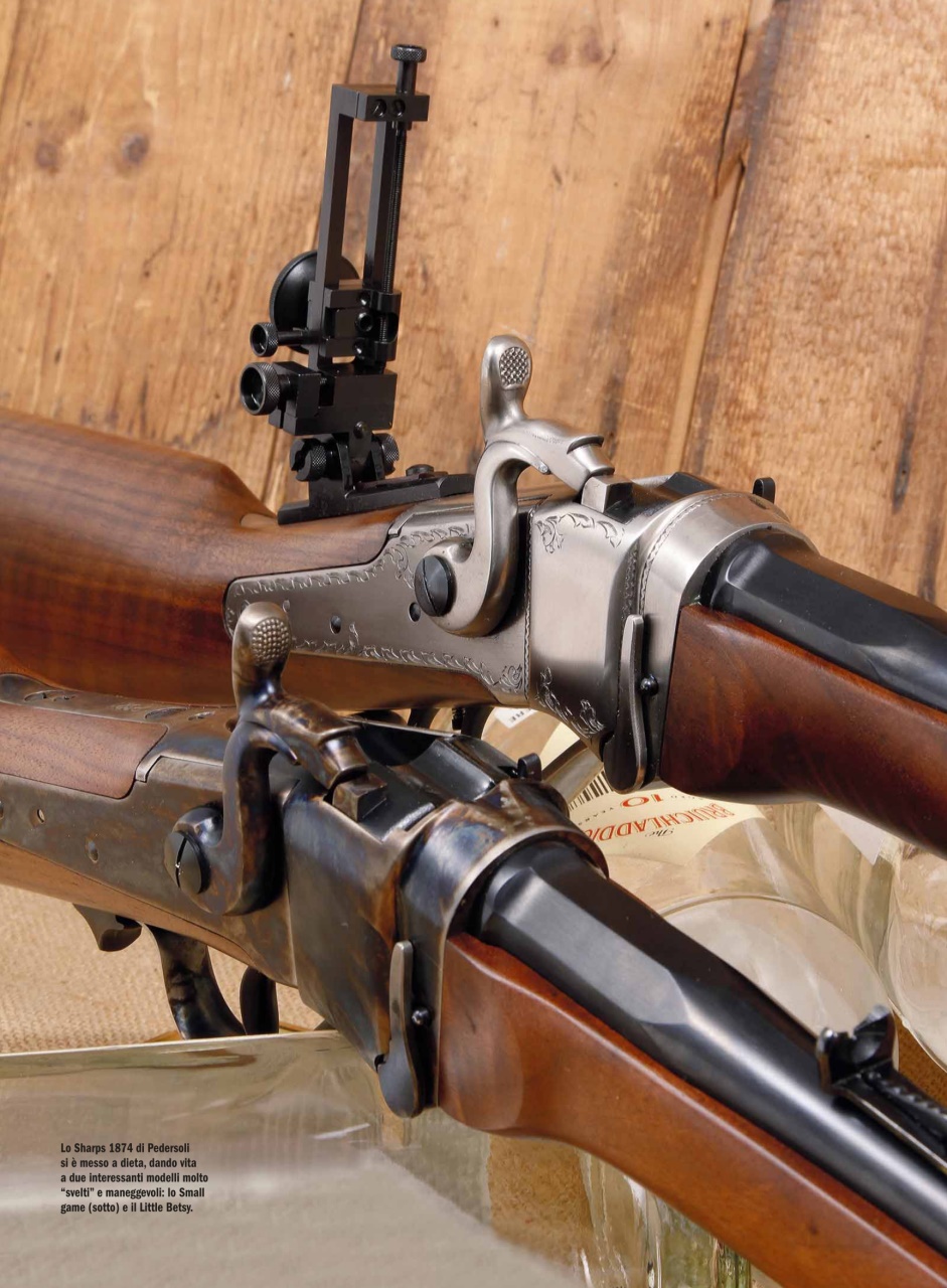 Armi E Tiro Preview Pages