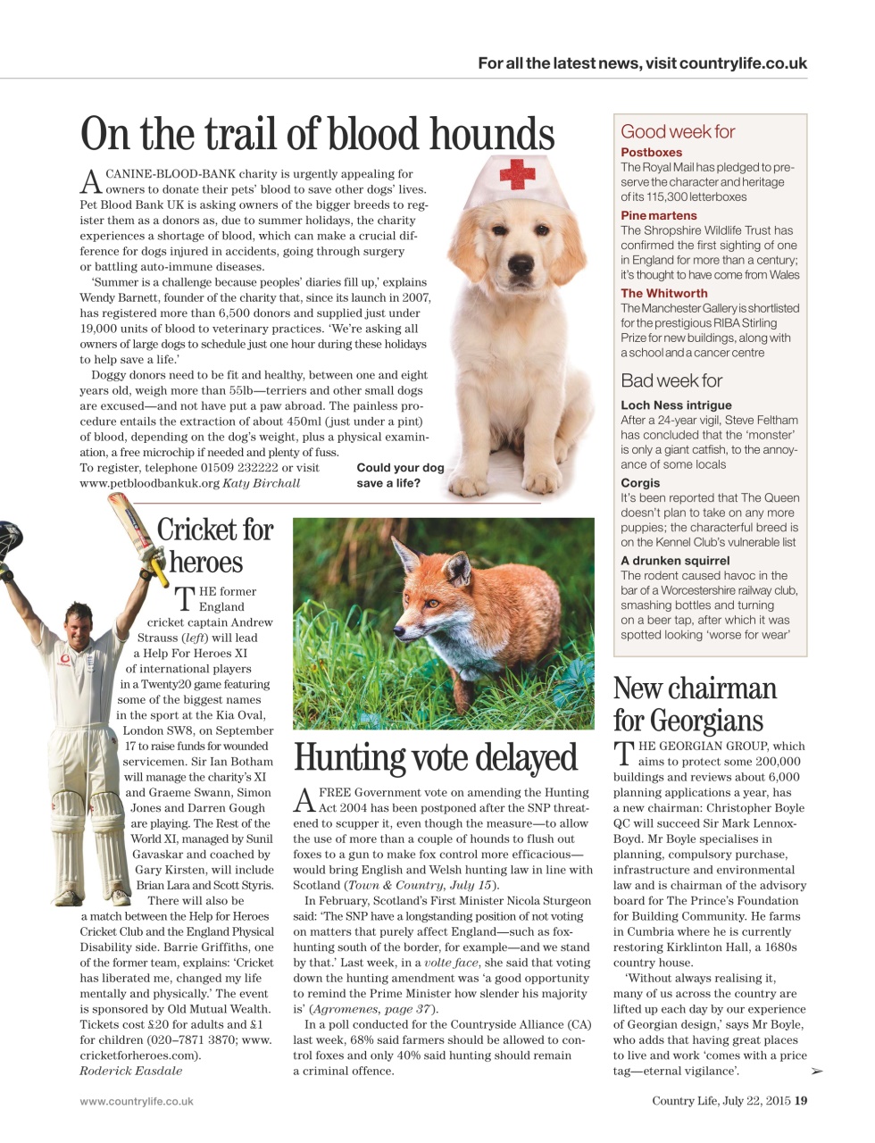 Country Life Preview Pages