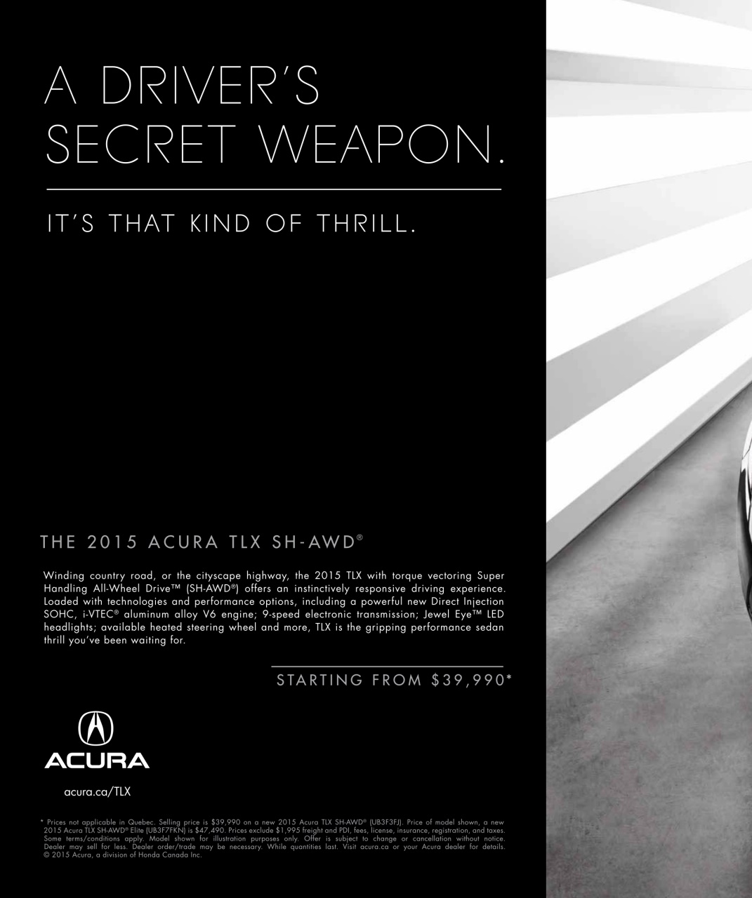 Avenue Calgary Preview Pages