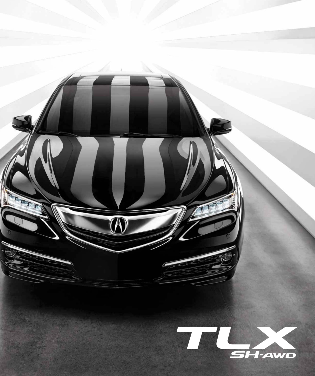 Avenue Calgary Preview Pages