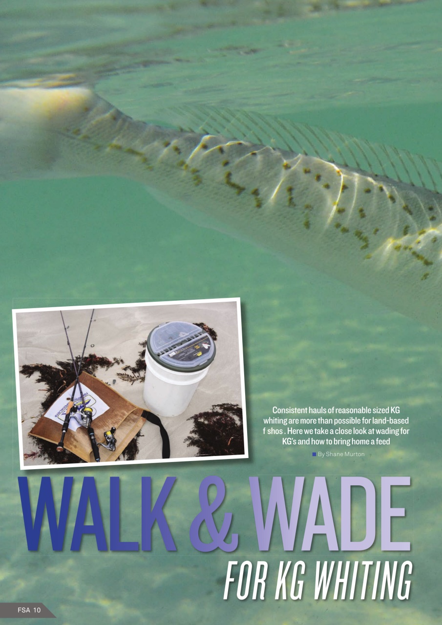 Fishing SA Preview Pages