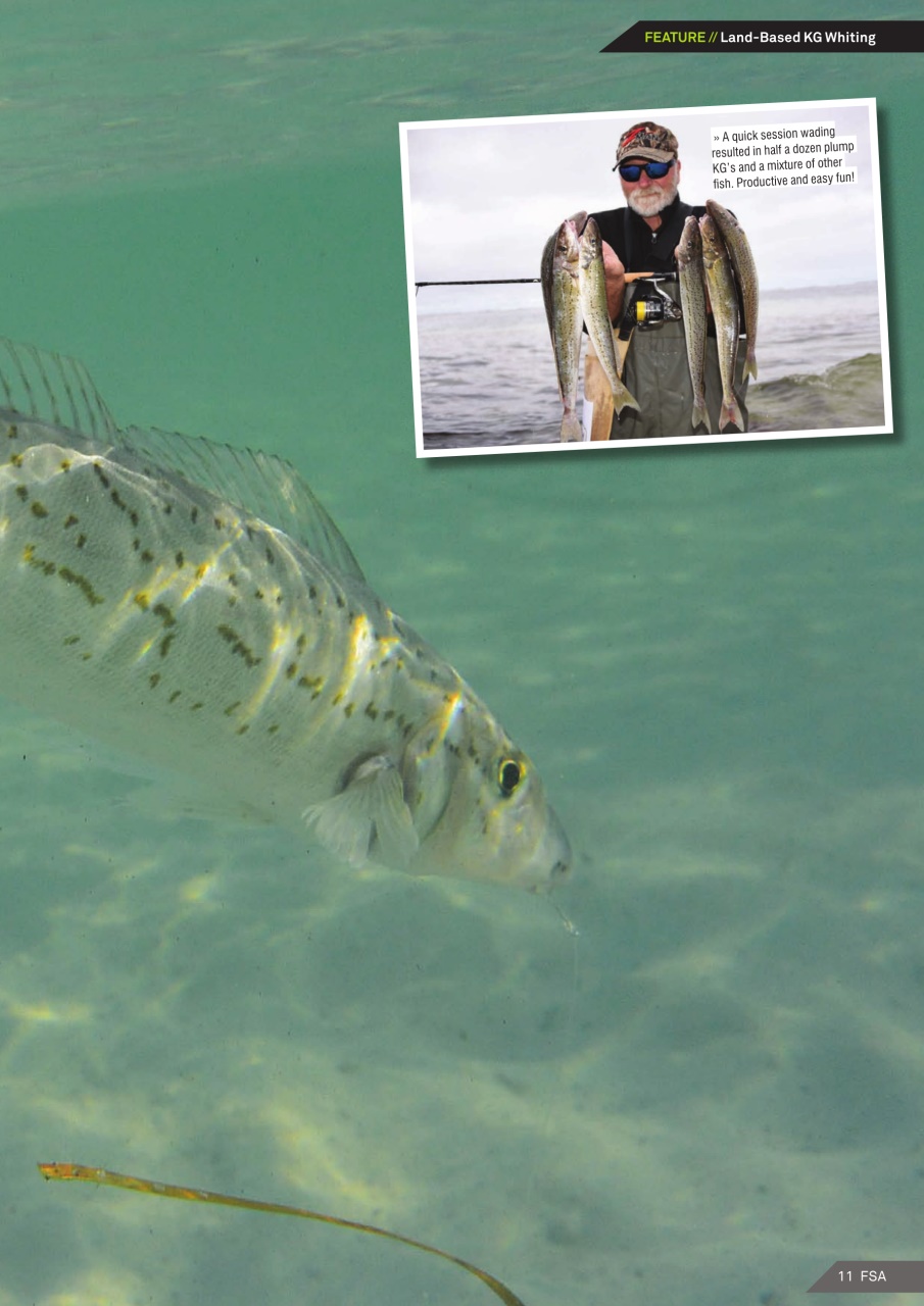 Fishing SA Preview Pages