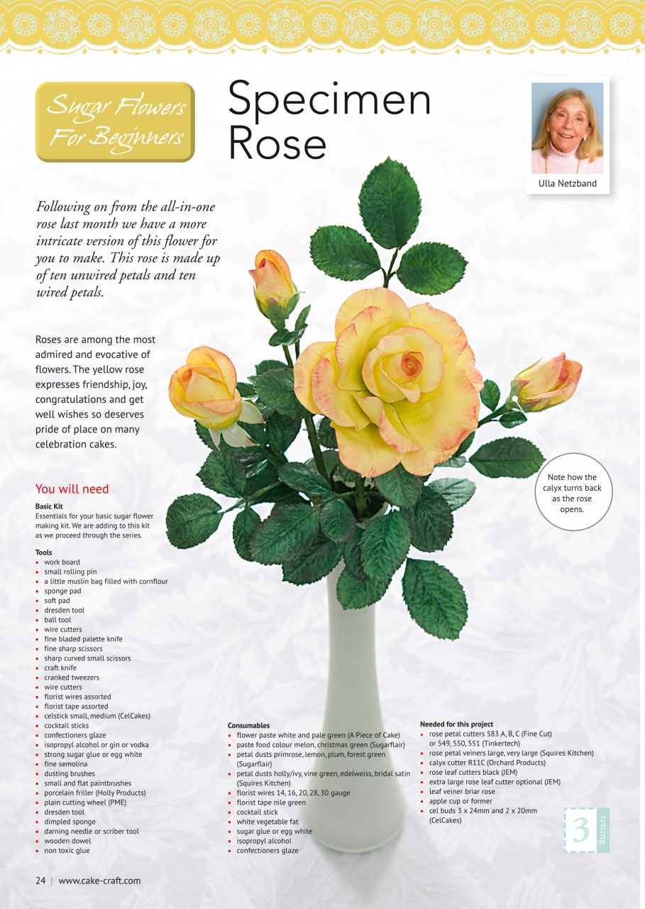 Cake Decoration & Sugarcraft Magazine Preview Pages