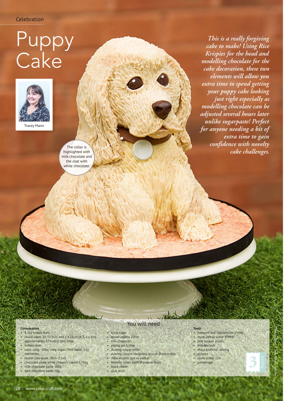 Cake Decoration & Sugarcraft Magazine Preview Pages