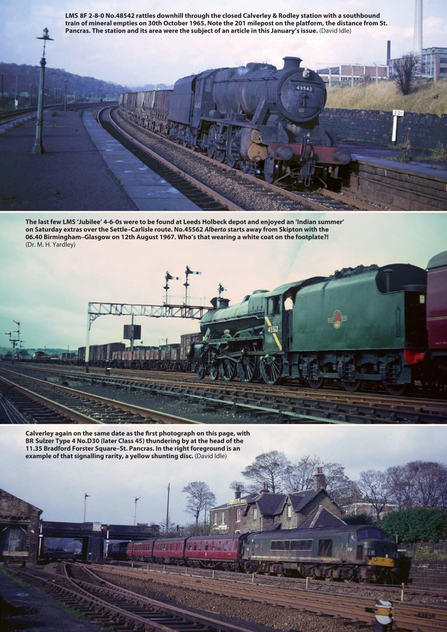 Backtrack Preview Pages