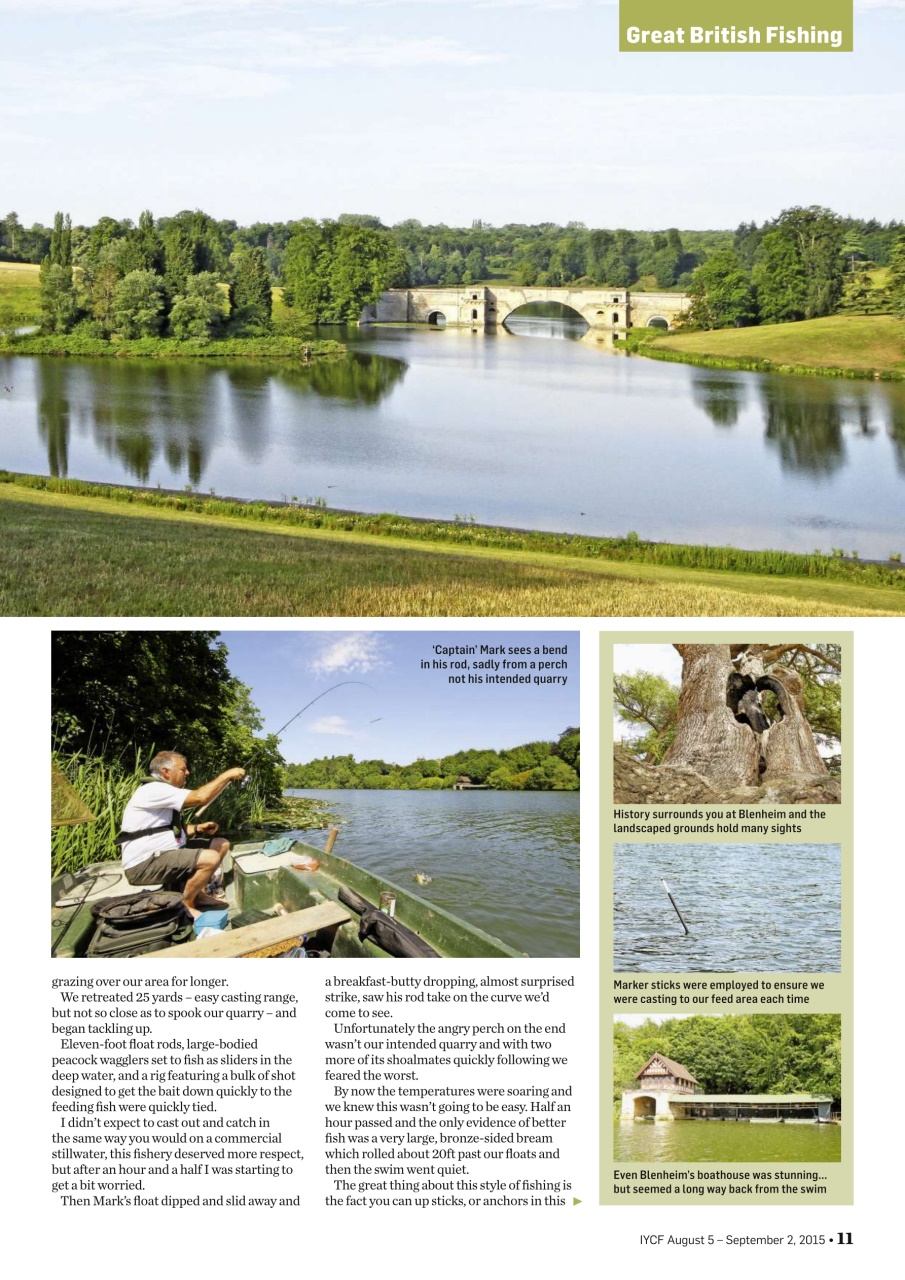 Improve Your Coarse Fishing Preview Pages