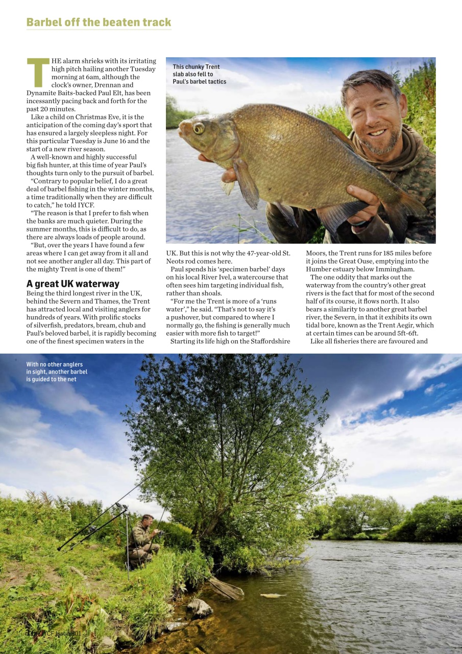 Improve Your Coarse Fishing Preview Pages
