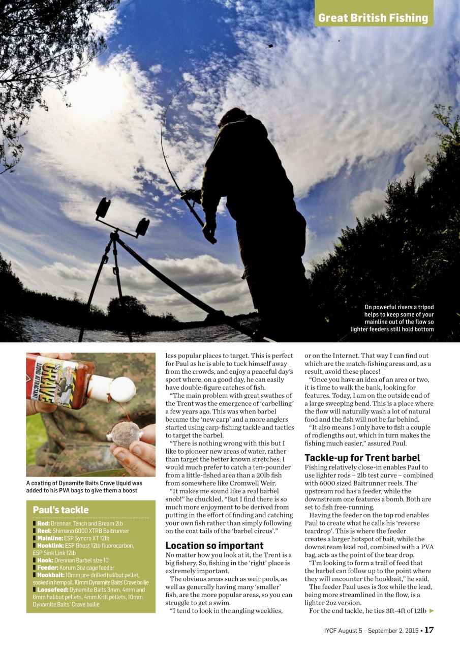 Improve Your Coarse Fishing Preview Pages