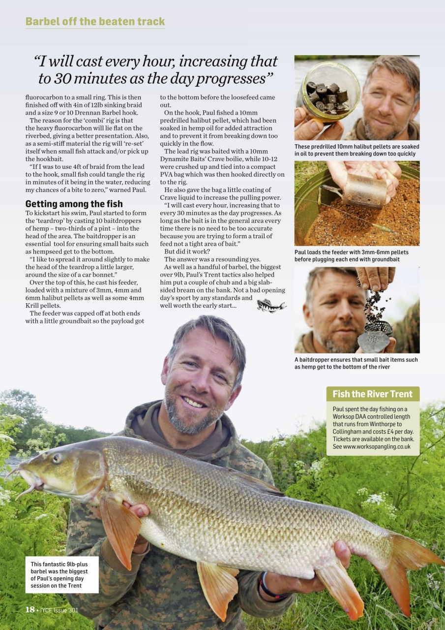 Improve Your Coarse Fishing Preview Pages