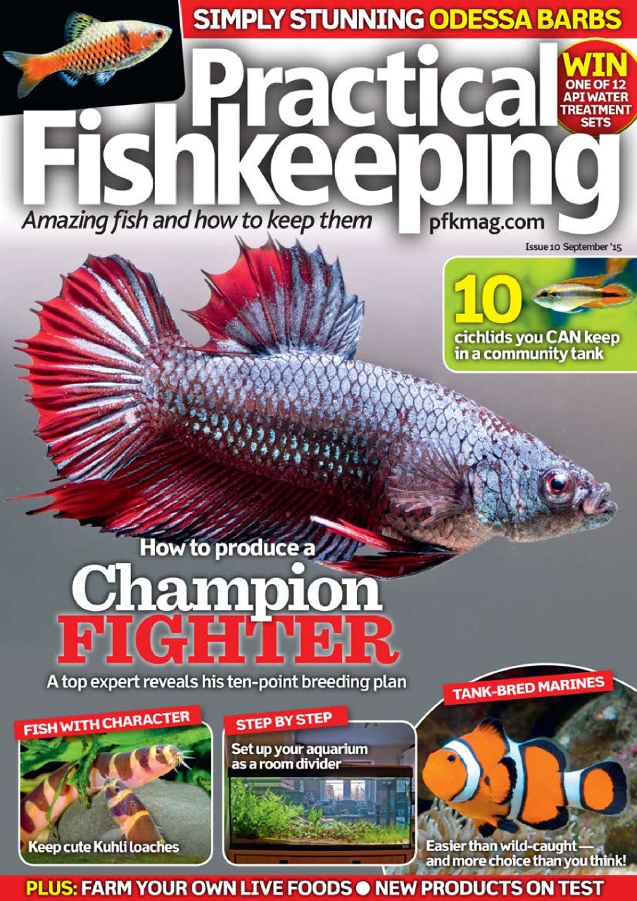 Practical Fishkeeping Preview Pages