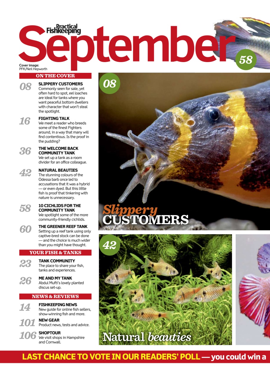 Practical Fishkeeping Preview Pages