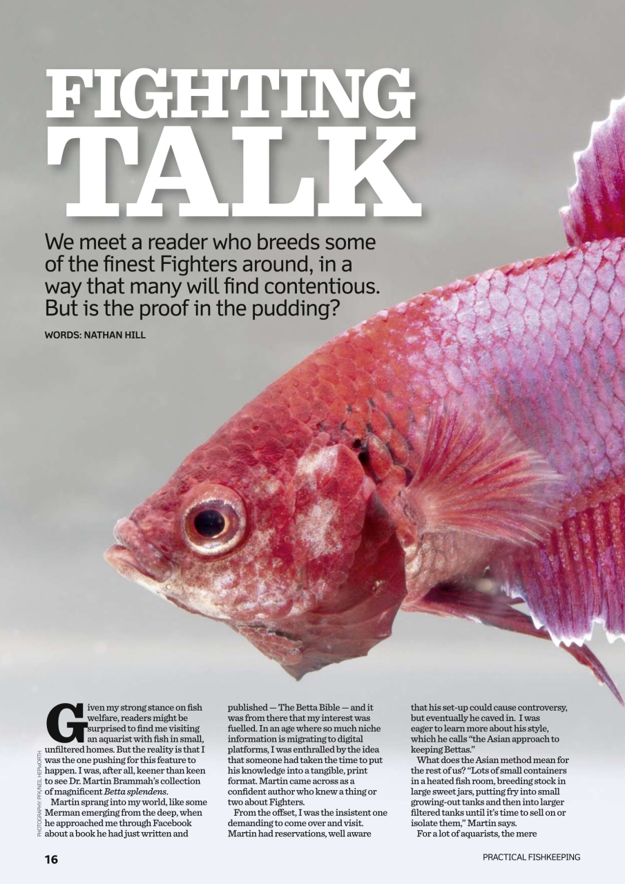 Practical Fishkeeping Preview Pages