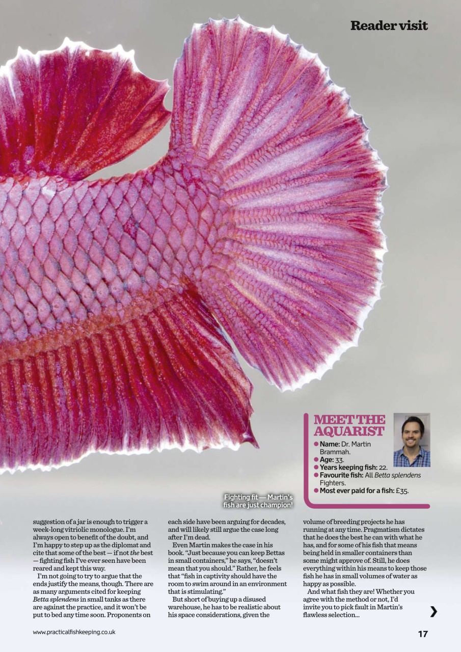 Practical Fishkeeping Preview Pages