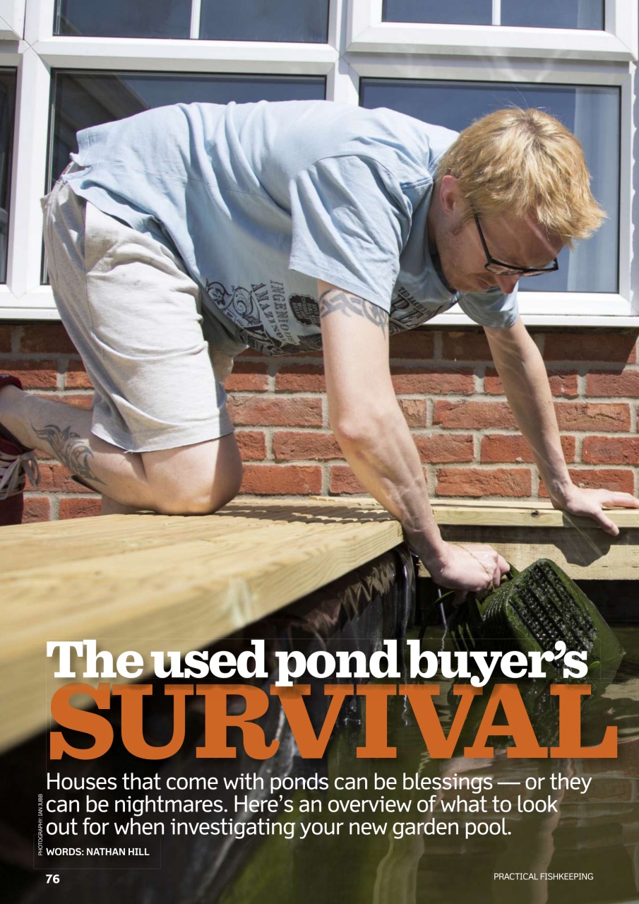 Practical Fishkeeping Preview Pages