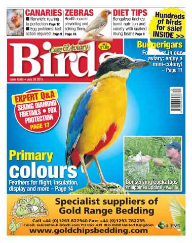 Cage & Aviary Birds issue No. 5865 Primary colours