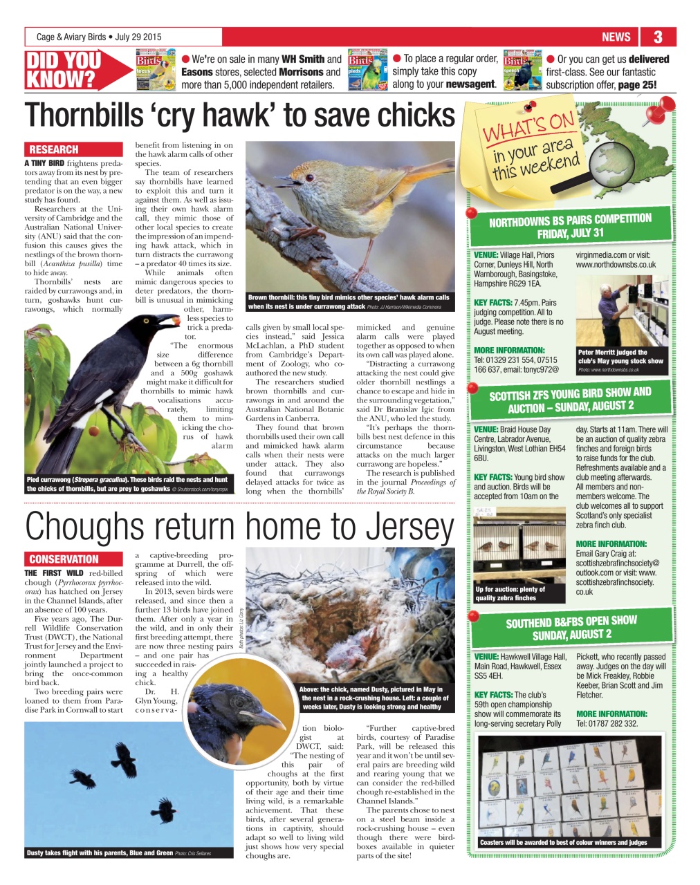 Cage & Aviary Birds Preview Pages