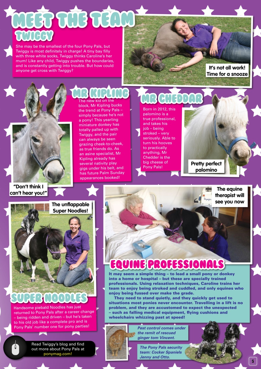 Pony Magazine Preview Pages