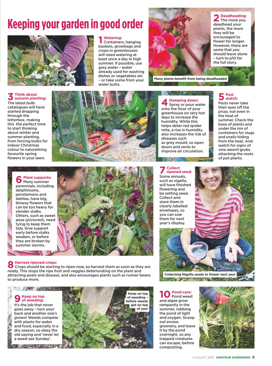 Amateur Gardening Preview Pages