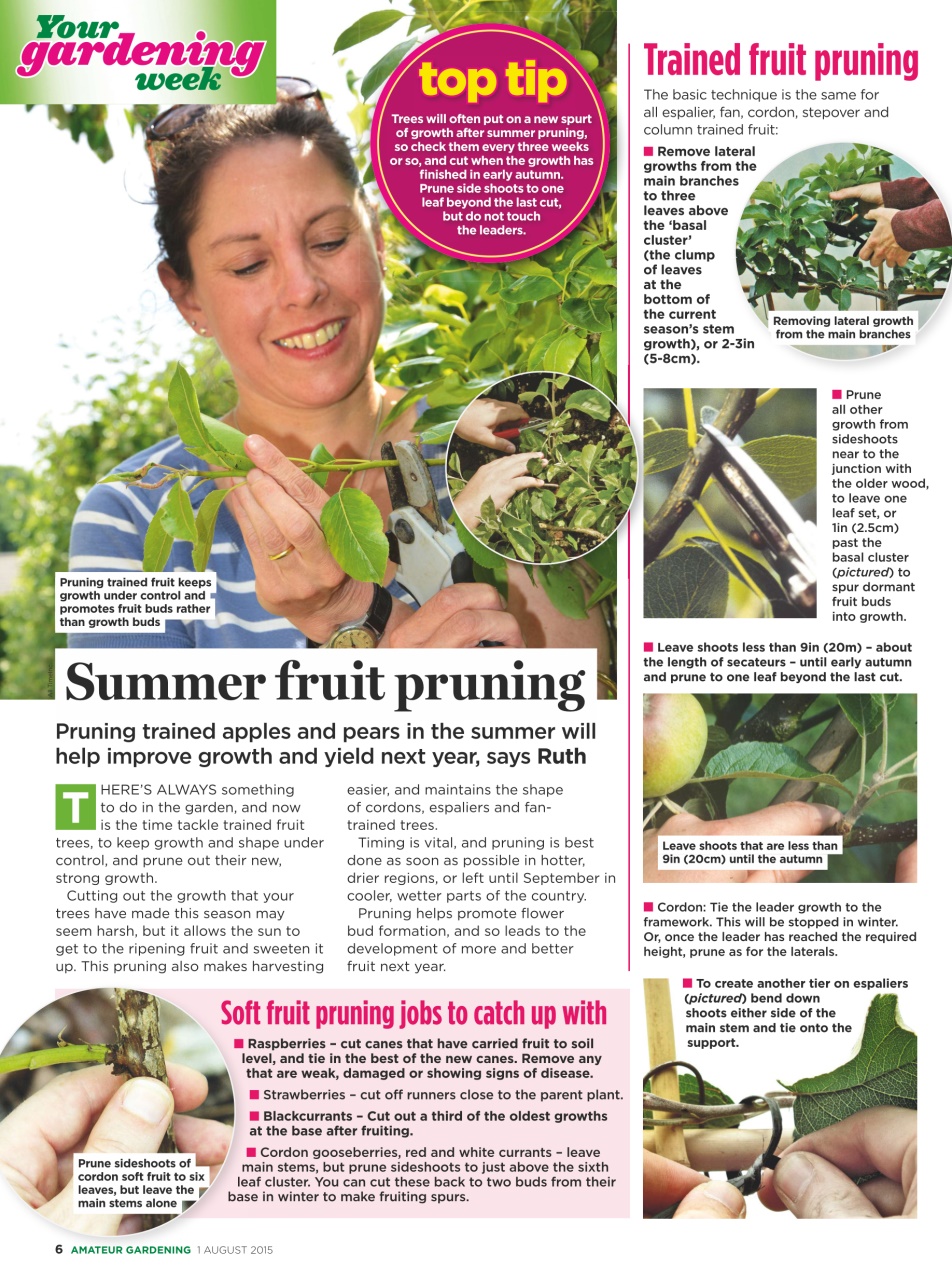 Amateur Gardening Preview Pages