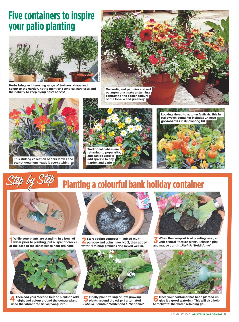 Amateur Gardening Preview Pages