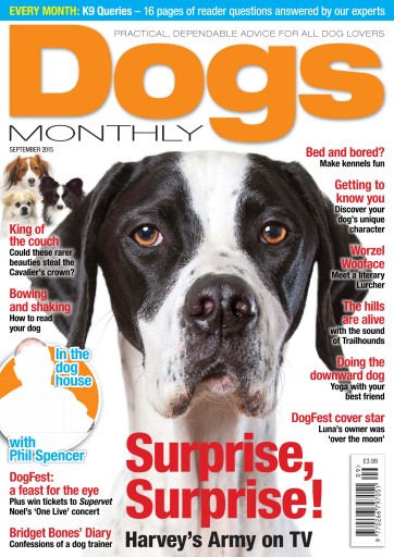 Dogs Monthly issue 