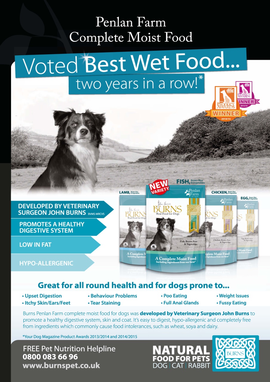 Dogs Monthly Preview Pages